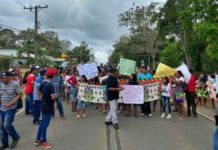 Panamá: Mujeres Indígenas protestas ante la tala de árboles (Audio)
