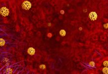 China | Epidemia de Coronavirus provoca cancelación de exportaciones de salmón de Chile