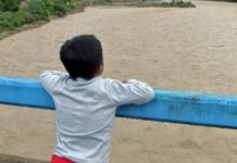 Lanzan serie de investigaciones en periodismo ambiental