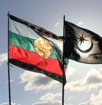 Declaración Koyagtun Mapuche del Wallmapu Frente a la Recuperación Territorial en Lonkimay