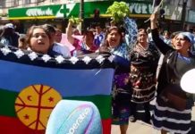 Mujeres Mapuche y sus luchas por un buen vivir para todos y todas