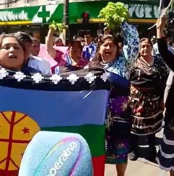 Mujeres Mapuche y sus luchas por un buen vivir para todos y todas