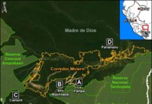 Perú | ¿Cuáles son las principales áreas de minería ilegal en la Amazonía?