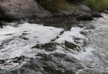 Organización medioambiental denuncia contaminación de Río Toltén por planta de tratamiento de aguas