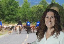 Lonquimay: el territorio ancestral que enfrenta a comunidades mapuche con Gabriela Luksic Fontbona