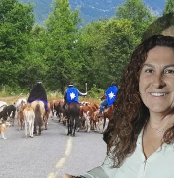 Lonquimay: el territorio ancestral que enfrenta a comunidades mapuche con Gabriela Luksic Fontbona
