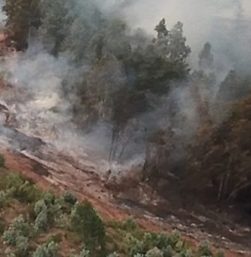VIDEO: Vecinos/as y Asamblea Territorial Nonguenche ante incendios en Reserva Nonguén
