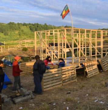 Temuko: Toma Vegas de Chivilcan – Palabras del Comité «El sueño de Todos»