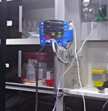 Denuncian explosión y contaminación en planta química de Arauco