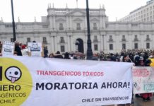 SAG cocina nuevo decreto sobre transgénicos en secreto