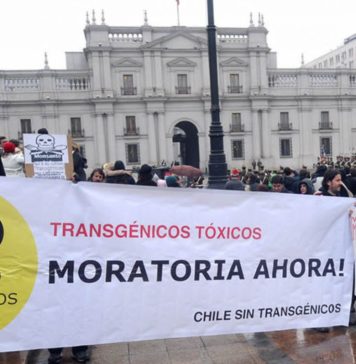 SAG cocina nuevo decreto sobre transgénicos en secreto