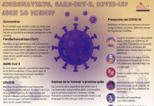 Con Peras y Manzanas: Colectivo de divulgación científica ofrece información sobre Coronavirus