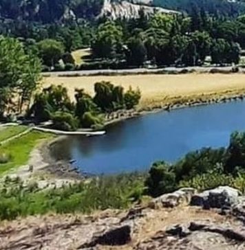 Alcalde de Laja y su hijo Gobernador de Biobío cuentan con laguna y humedal privado mientras avalan daño a “La Señoraza”