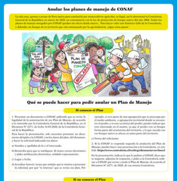 OLCA libera un instructivo para proteger bosque nativo ante arremetida de agroindustria