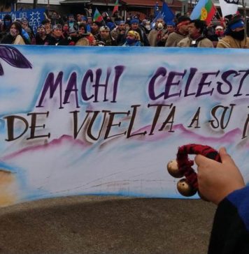 A pura dignidad. Veintisiete presos mapuche en huelga de hambre