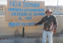 Caso Dominga: Tribunal Ambiental de Antofagasta desiste de solicitar informes requeridos al Gobierno y cierra las puertas a una audiencia con científicos