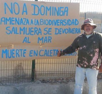 Tribunal Ambiental de Antofagasta entrega nuevo salvavidas a proyecto Dominga y Alianza Humboldt anuncia que acudirá a Corte Suprema para revertir fallo