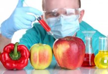 Cóctel de veneno: Maíz transgénico resistente a doce pesticidas