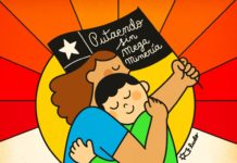 Corte de Valparaíso anula ilegal autorización de proyecto de sondajes de minera Vizcachitas