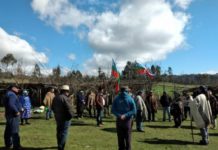 Pu Logko de Karawe invalidan reunión de Piñera con «Pseudo Logko Mapuche»