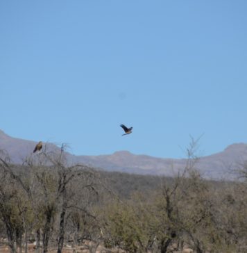 Energía fotovoltaica, cuando la energía solar se transforma en una caldera a presión