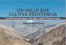 Lea libro sobre resistencia contra Pascua Lama: ‘Un valle que cultiva resistencia»