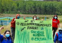 Red Nacional de Humedales se manifiesta exigiendo pronta implementación de Ley de Humedales Urbanos