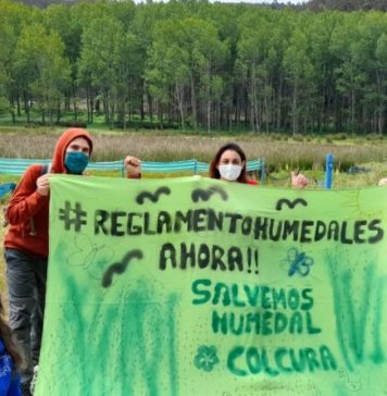 Red Nacional de Humedales se manifiesta exigiendo pronta implementación de Ley de Humedales Urbanos