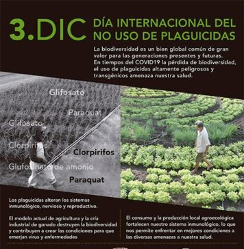 Día internacional del no uso de plaguicidas: detengamos la expansión de la liberación de las semillas transgénicas