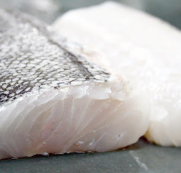 Gobierno insiste en aumentar cuota de la merluza austral hasta el año 2023 pese a su evidente estado de sobrepesca