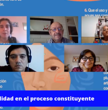 Reviva el conversatorio sobre plurinacionalidad en la Convención Constitucional