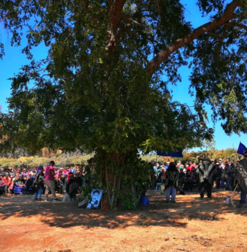 Lef trawun en Temucuicui: fin a la invasión y violencia estatal chilena