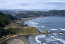 A 25 años de la Defensa del Mar contra CELCO