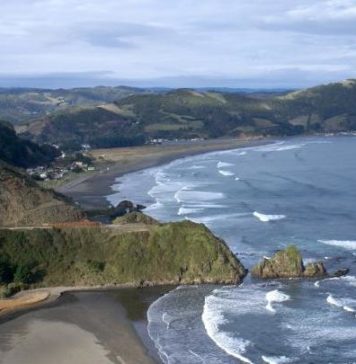 A 25 años de la Defensa del Mar contra CELCO