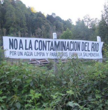 Se vienen alegatos en Tribunal Ambiental por conflicto piscicultura salmonera en Río Chesque, comuna de Villarrica