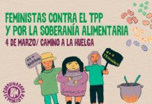 Libro: «Cosechando Rebeldía Feminista»