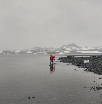 Estudio reveló capacidad de pez antártico para soportar altas temperaturas