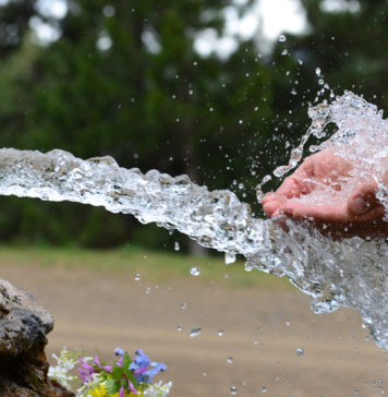 Ley 20998 o el brutal asedio a las APR para privatizarlas