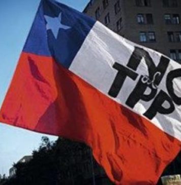 47 Convencionales Constituyentes solicitan a Presidenta del Senado que no tramite el TPP-11 ni ningún otro tratado de libre comercio o inversión