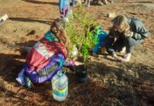 Comunidad reforesta y rescata Pillán Wechün (La Puntilla) en Algarrobo