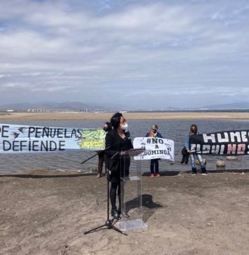 Declaran situación de Emergencia Climática y Medioambiental para la Región de Coquimbo