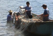 Pescadores indignados porque Bono Covid será solo para dueños de embarcaciones y no para el 90% de hombres y mujeres del mar