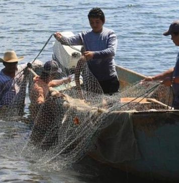 Pescadores indignados porque Bono Covid será solo para dueños de embarcaciones y no para el 90% de hombres y mujeres del mar