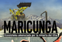 Próximamente se estrenará documental sobre las amenazas de la explotación de Litio en el Salar de Maricunga de Copiapó