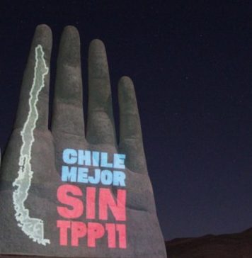 Opinión | TPP-11 y nueva Constitución
