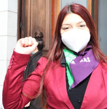 Zárate responde a acusaciones de RN sobre IFE: «No vengo de la clase acomodada como varios convencionales»