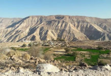 Radio Ayni | Cuenca de Camarones: ¿Cuál es el impacto del Plan Alto Andino?