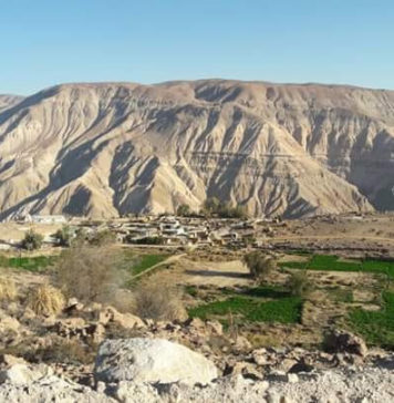 Radio Ayni | Cuenca de Camarones: ¿Cuál es el impacto del Plan Alto Andino?