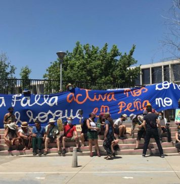 Vecinas y vecinos se movilizan en contra de la devastación del bosque nativo por una inmobiliaria en Peñalolén