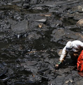 Negligencia de Repsol: confirman segundo derrame de petróleo